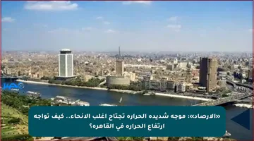 «الأرصاد»: موجة شديدة الحرارة تجتاح أغلب الأنحاء.. كيف تواجه ارتفاع الحرارة في القاهرة؟